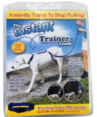 Laisse d'entraînement instantanée pour chien Easy Walk rétractable (JG0012)